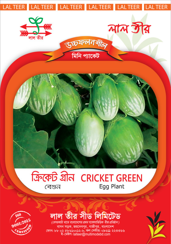 Cricket Green