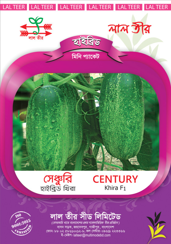 Century