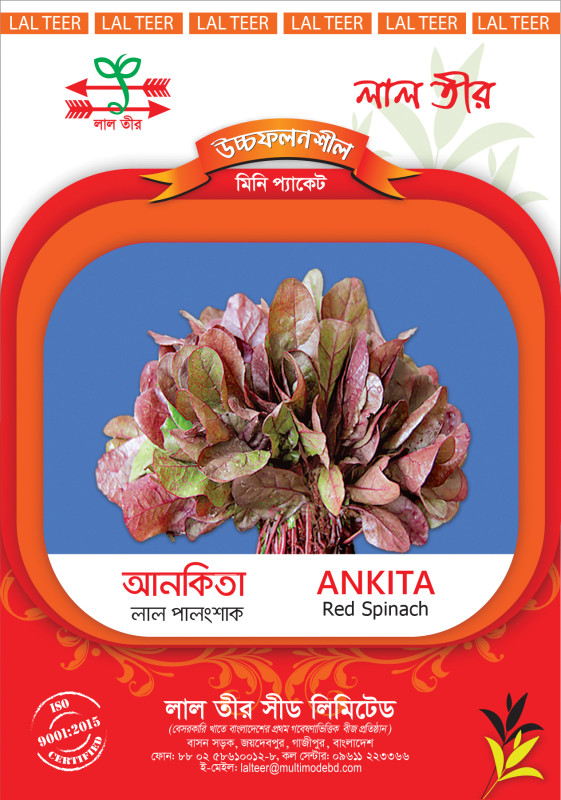 Ankita