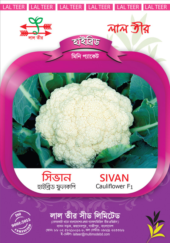 Sivan