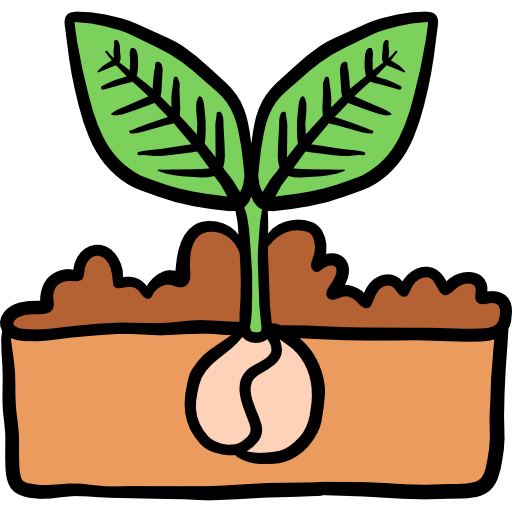 Seedling