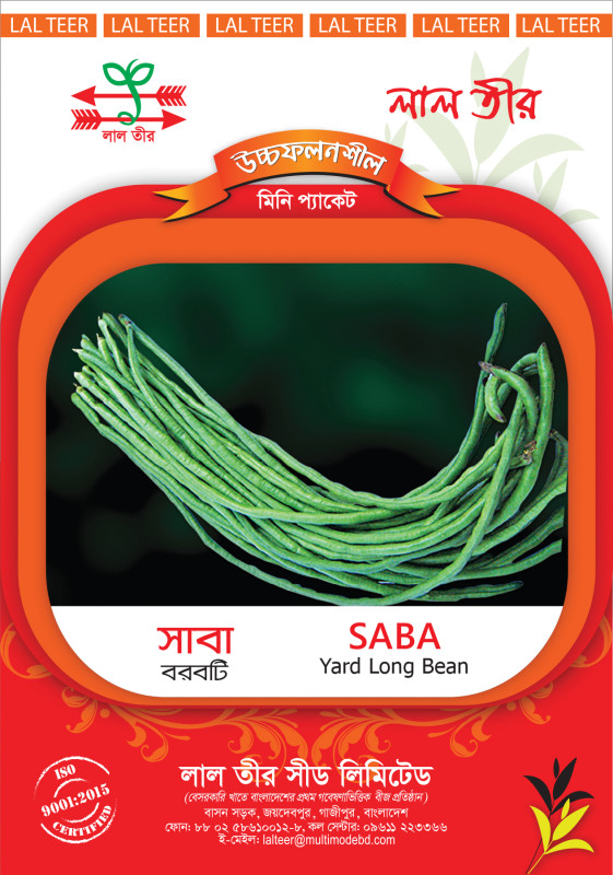 Saba