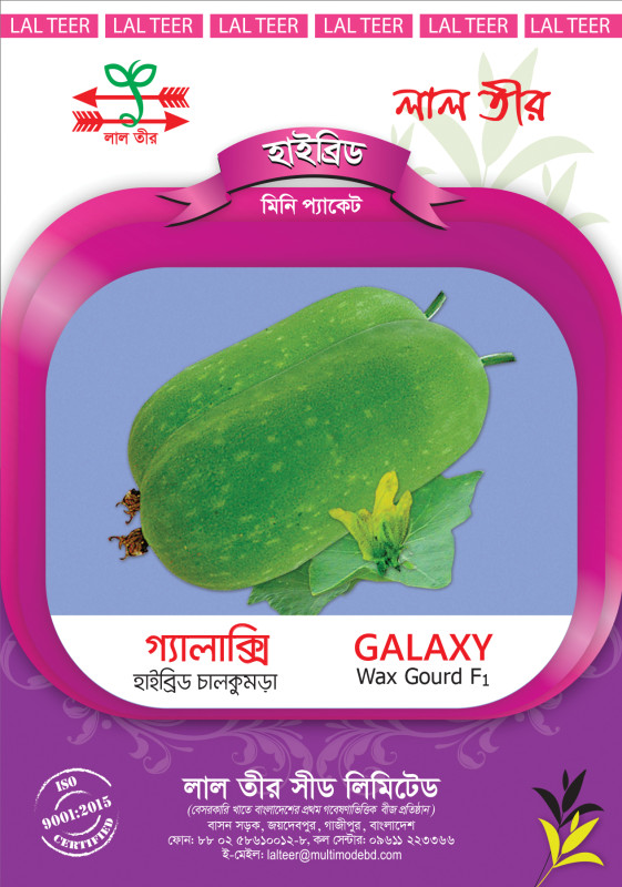 Galaxy