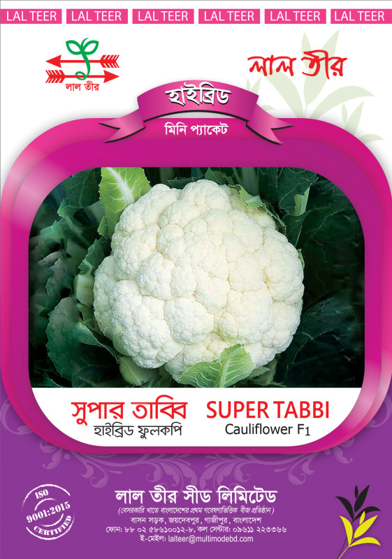 Tabbi