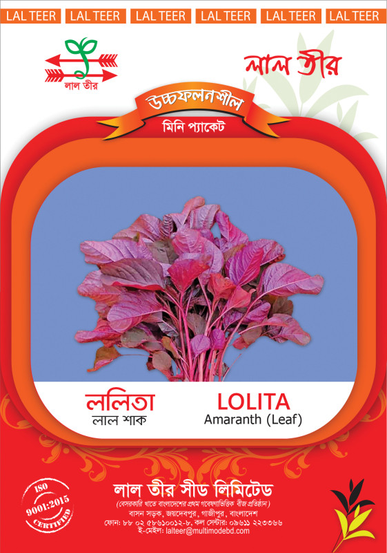 Lolita