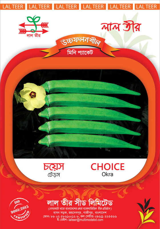 Choice