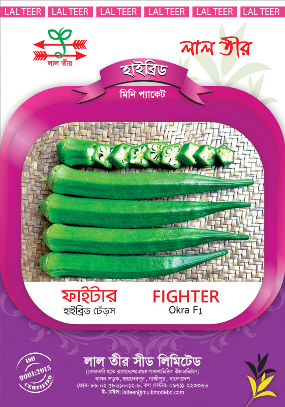 Fighter