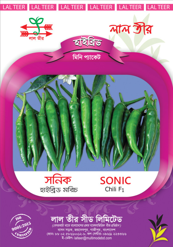Sonic