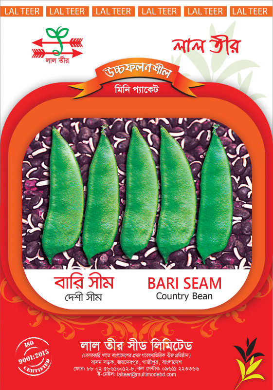 Bari Seam