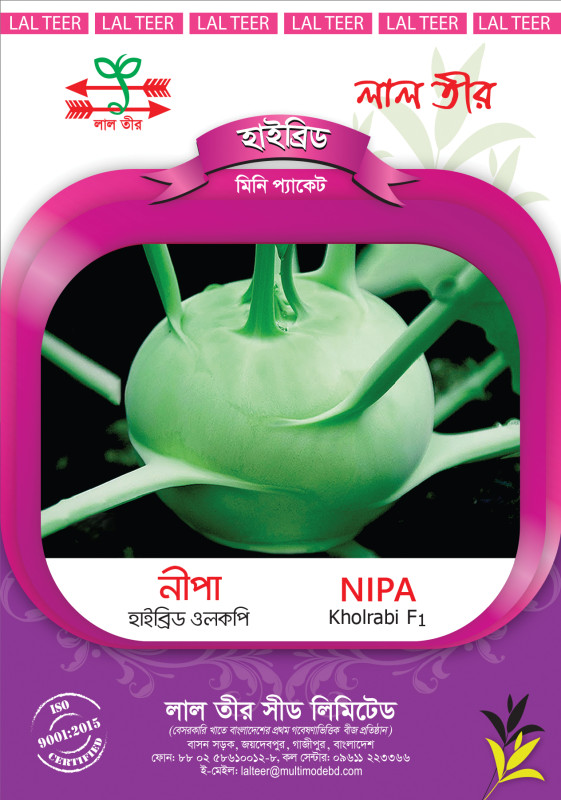Nipa