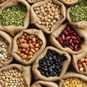 Seeds