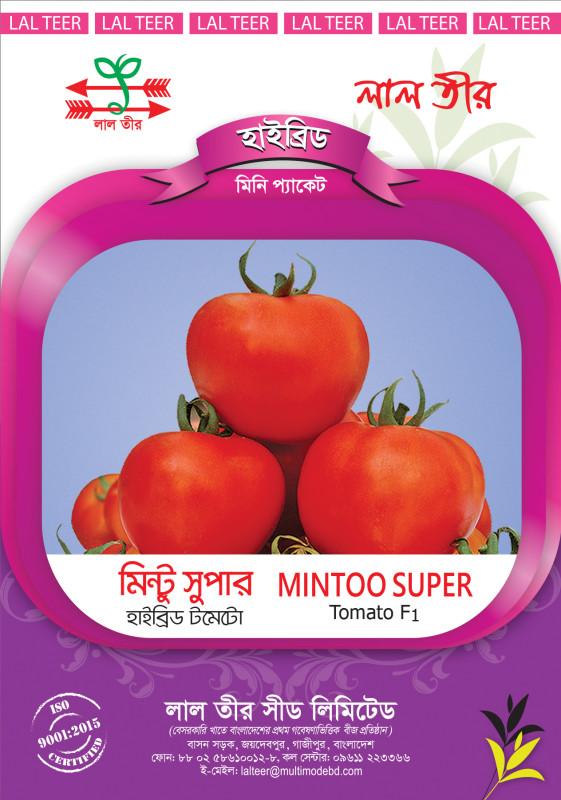Mintoo Super