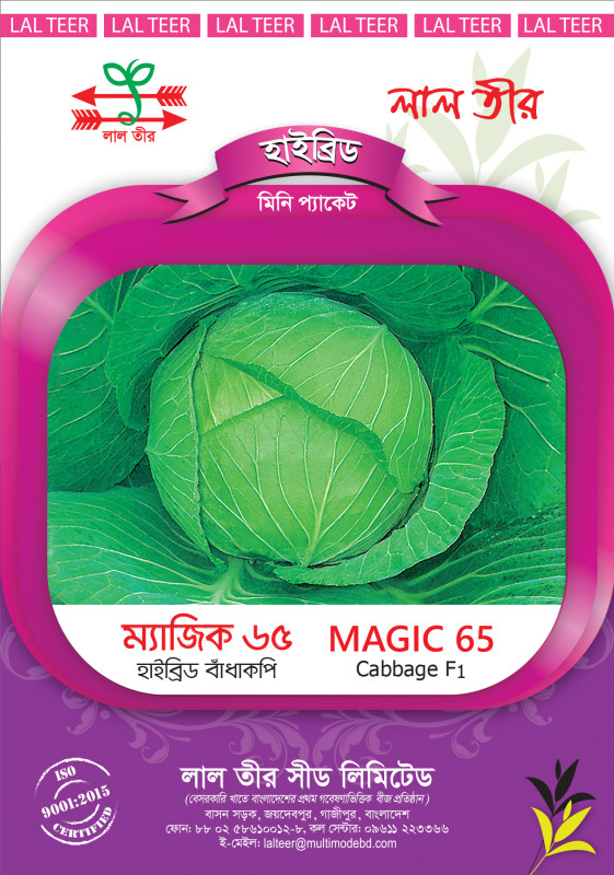 Magic 65
